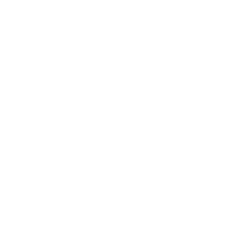 SPEED & SEO OPTIMIZATION
