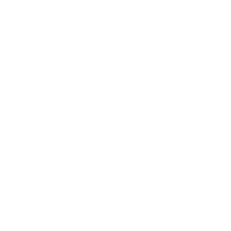 REVENUE BOOSTERS